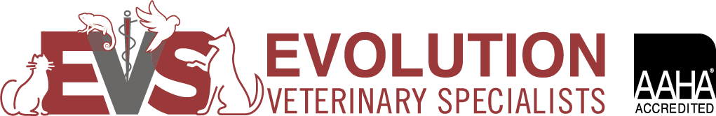 Evolution Veterinary Specialty and Emergency Hospital logo